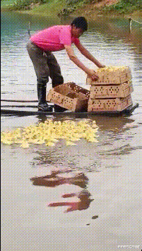 “一月80元的房子,我和女朋友整整租了半年!”兄弟腰挺好啊...