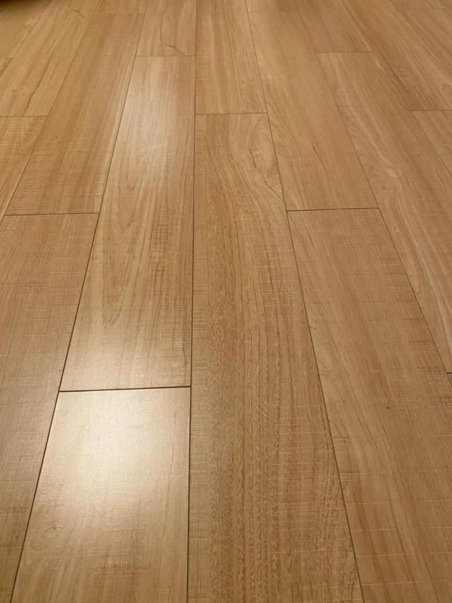 室内满是“飞尘、毛絮”?老保姆支个招,毛絮自动消失,贼实用!