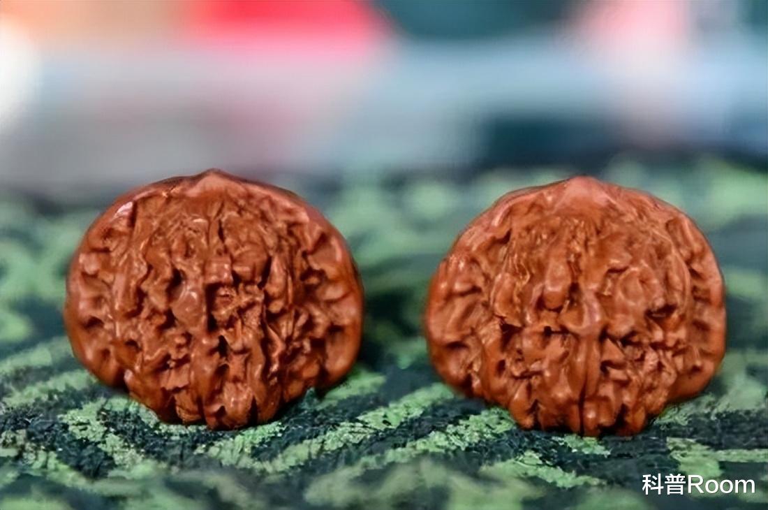 文玩|文玩核桃，价值堪比一座楼，北京大爷手里的核桃为何这么贵