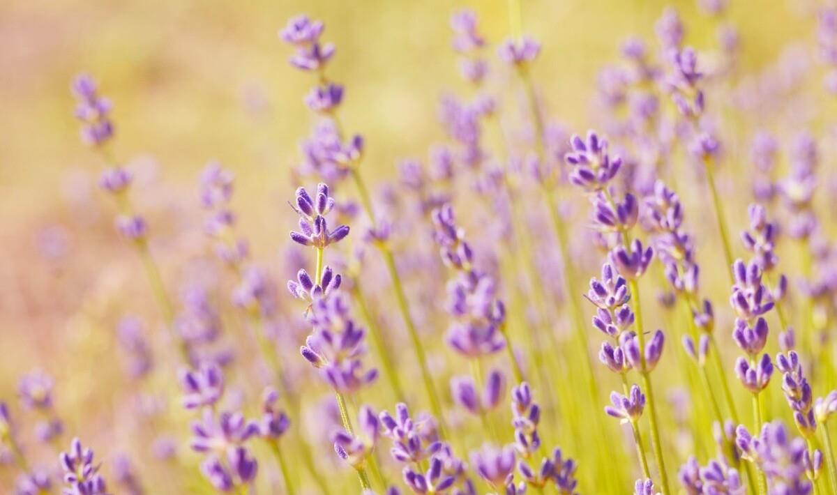 不经常更换头像的人,往往是以下几种心态