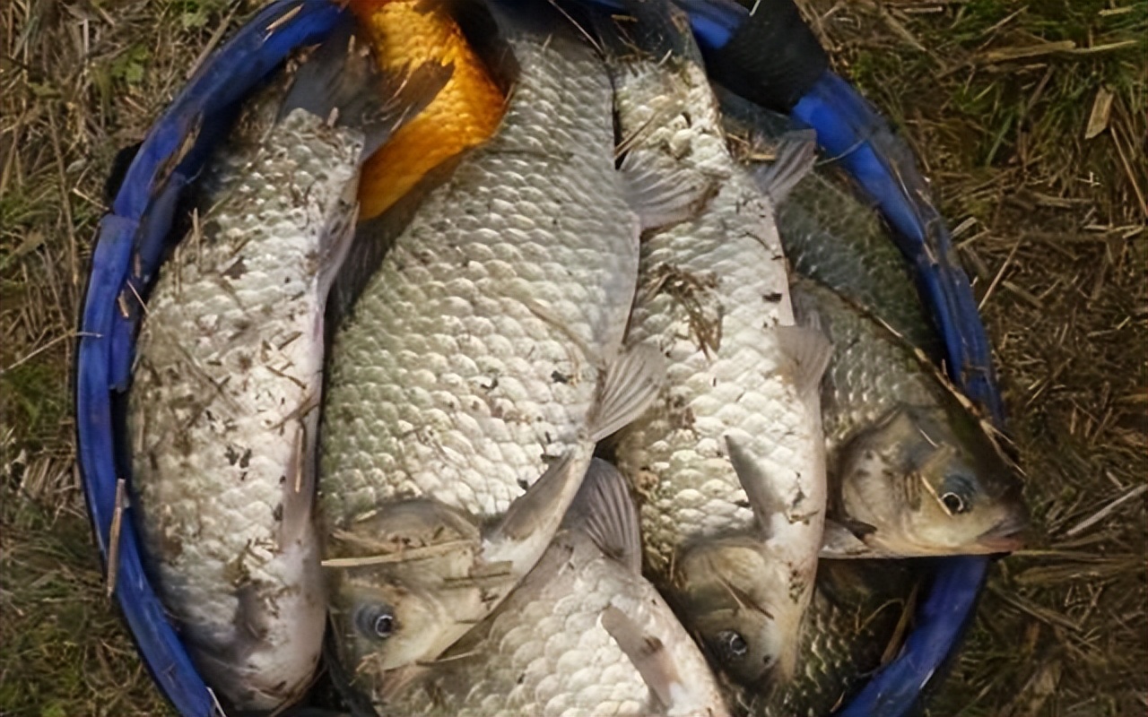 |晚春钓鱼有秘诀,这3处才是“主流藏鱼地”,怎么钓都上鱼!