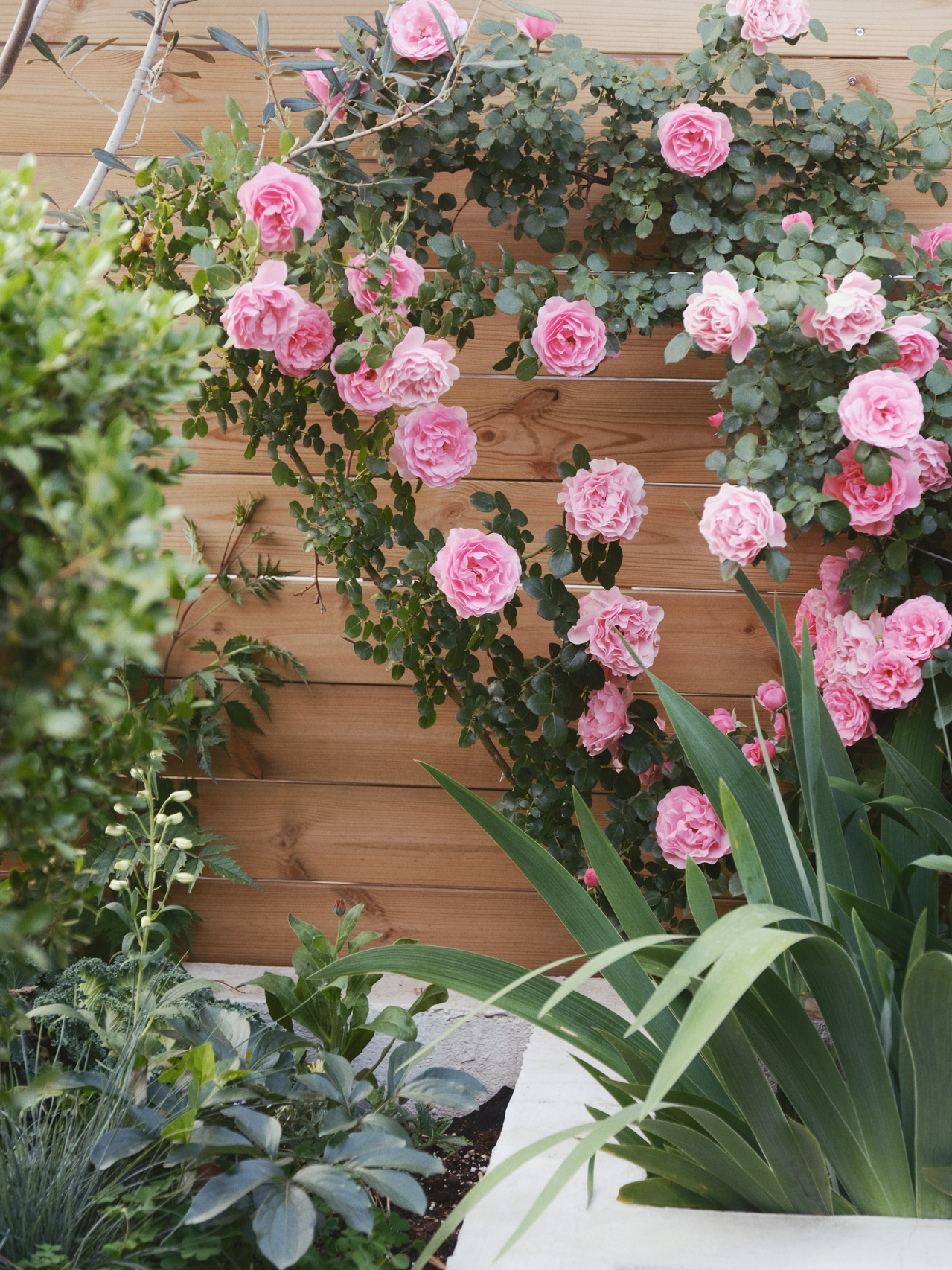 买房子时,免费送的30㎡露台,打造浪漫又实用的空中花园,太美啦