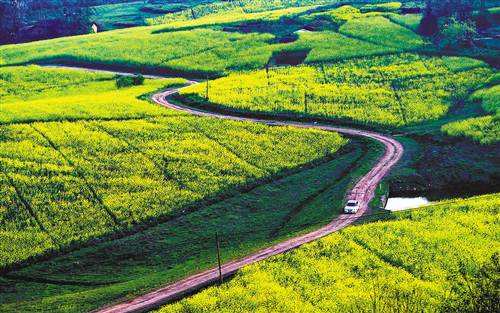 旅游业|我国乡村旅游产业园区的现状分析