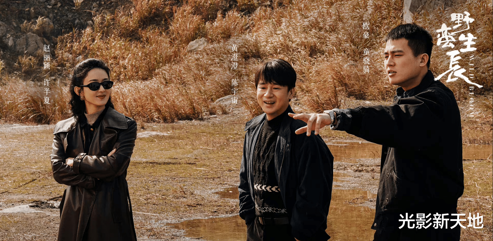 野蛮生长|《风吹半夏》赵丽颖演技被吐槽，好在剧本出色，许半夏即将陷入困境