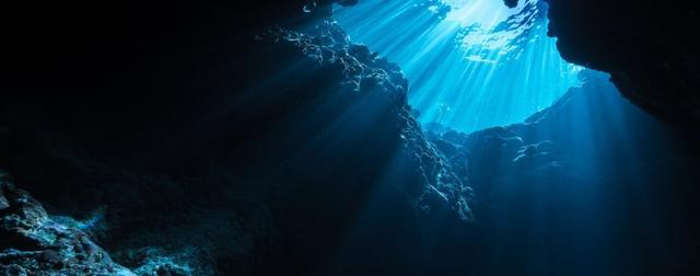 2022年科学家在海里发现的各路新物种!深海神奇动物又增加了!