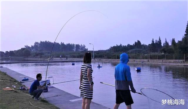 冀州|夏天钓大鱼遵守这些规则，改掉这些坏毛病，竿竿都是大弯弓