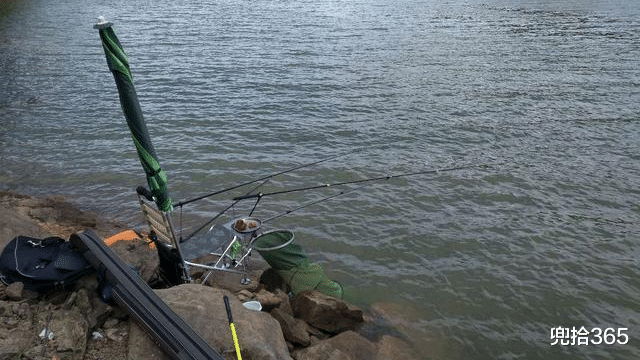 |一天就钓了1条鱼，惊喜还变成了心中的痛，鱼：随时都要努力一把