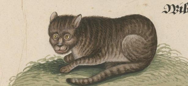 猫鱼,蜗牛鸡?中世纪画里的动物都神马玩意?看得人好上头!