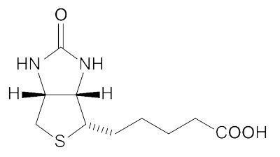 218433-98-8, 黄体生成素释放激素Biotinyl-(Gln1)-LHRH