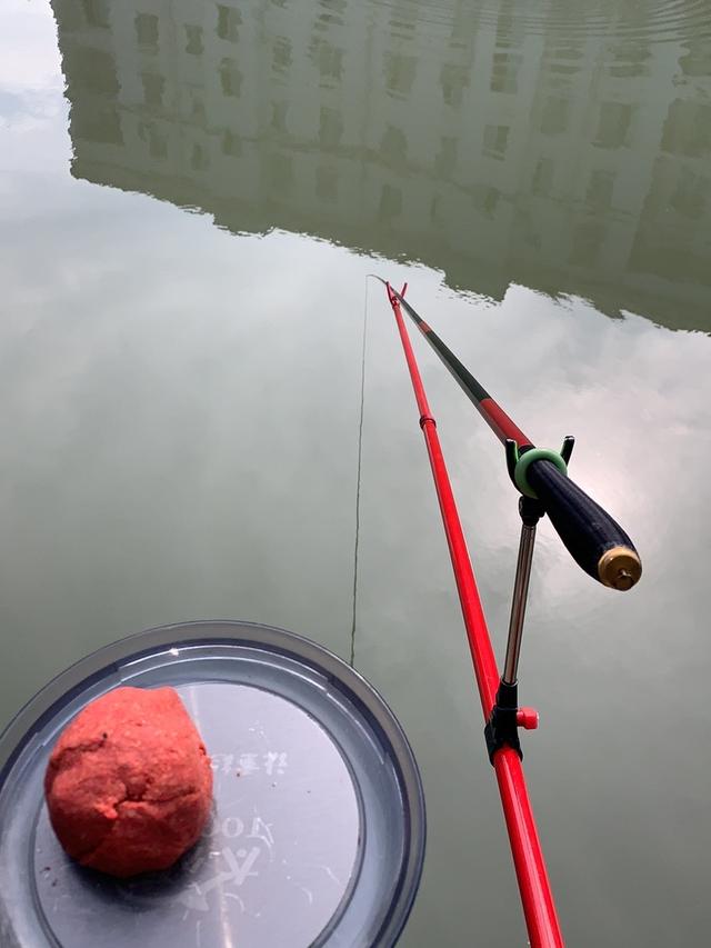 饵料|新手必知:钓鱼不打窝也能有满意的渔获!