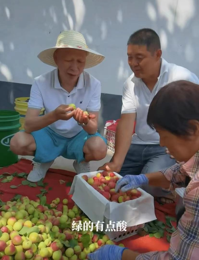 知名戏骨助农街头卖水果！戴草帽烈日下搬货，蹲路边直接吃接地气