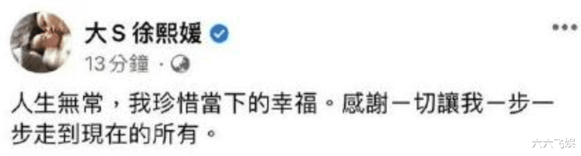 大S|45岁的大S，离婚3个月闪嫁52岁初恋，到底是勇猛还是脑袋发昏？