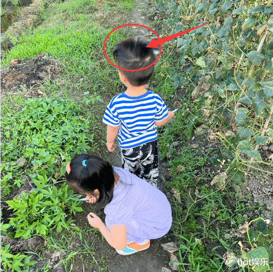 朱丹|朱丹分享一家四口幸福生活：周一围背影似女人，儿子头发立正