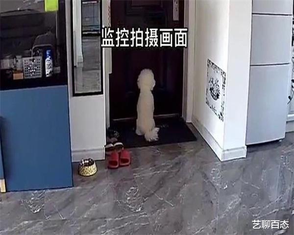 公公不正经?二婚儿媳妇在家里安装摄像头,只为了监控公公