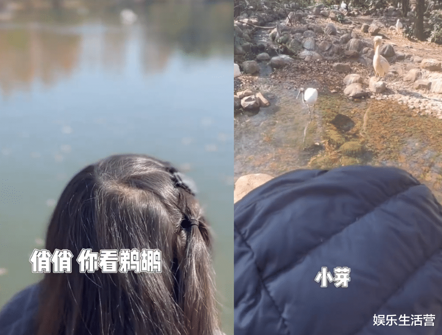 谢娜|谢娜带3女儿逛动物园,轮流背娃,颜值遭群嘲:歪下巴老太太
