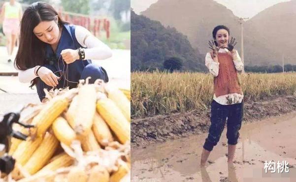 赵丽颖|《幸福到万家》还未播出赵丽颖就差评不断，问题到底出在哪里？