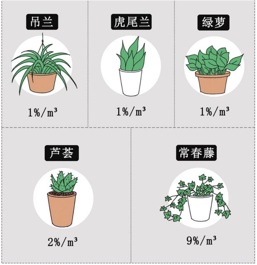 拜托了！这3个不靠谱的除醛方法可别再用了
