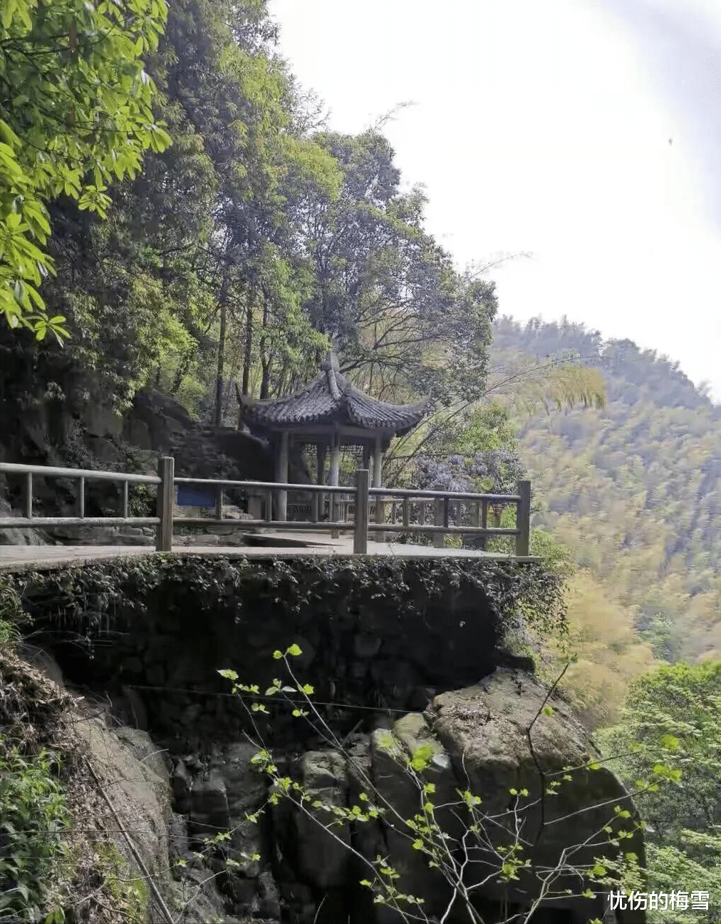 卢女士因3岁儿子在景区撒尿,与其他游客发生口角,从20多米高的悬崖坠落