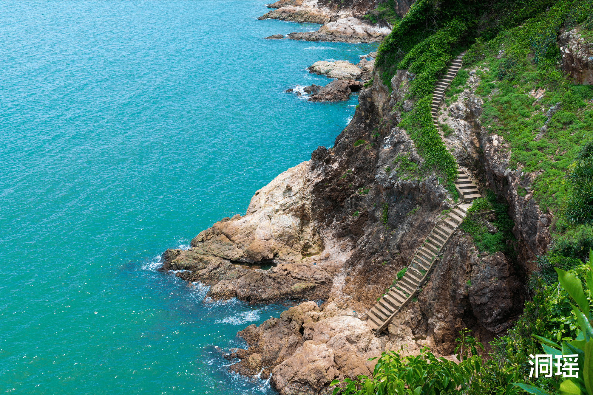 |中国境内的蛇岛，1.2平方公里挤着几万条蛇，来源成谜