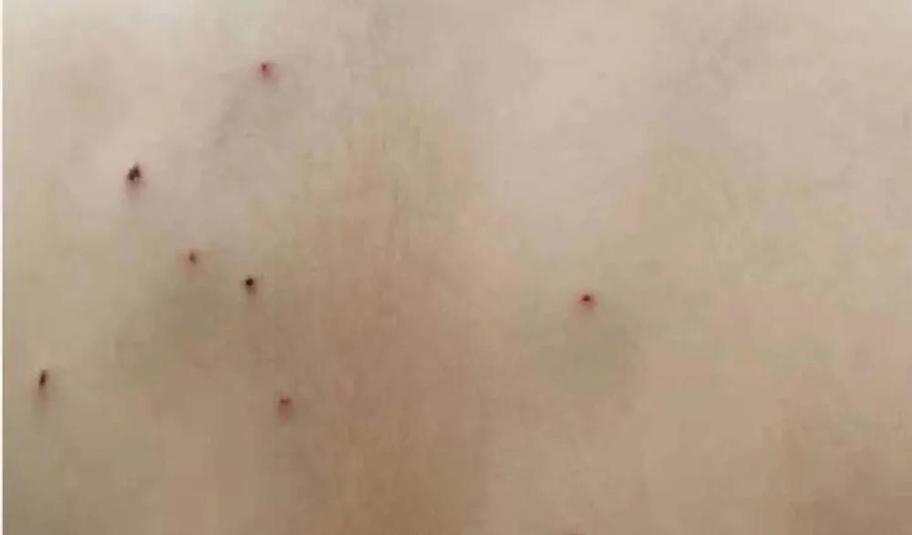 女儿被男生持刀霸凌,这位广州妈妈上演了一场教科书级别的绝地反杀......