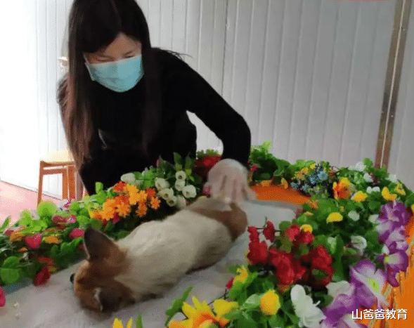 大学生|一大批奇奇怪怪职业曝光，月薪能过万，大学生看了却摇头：没兴趣