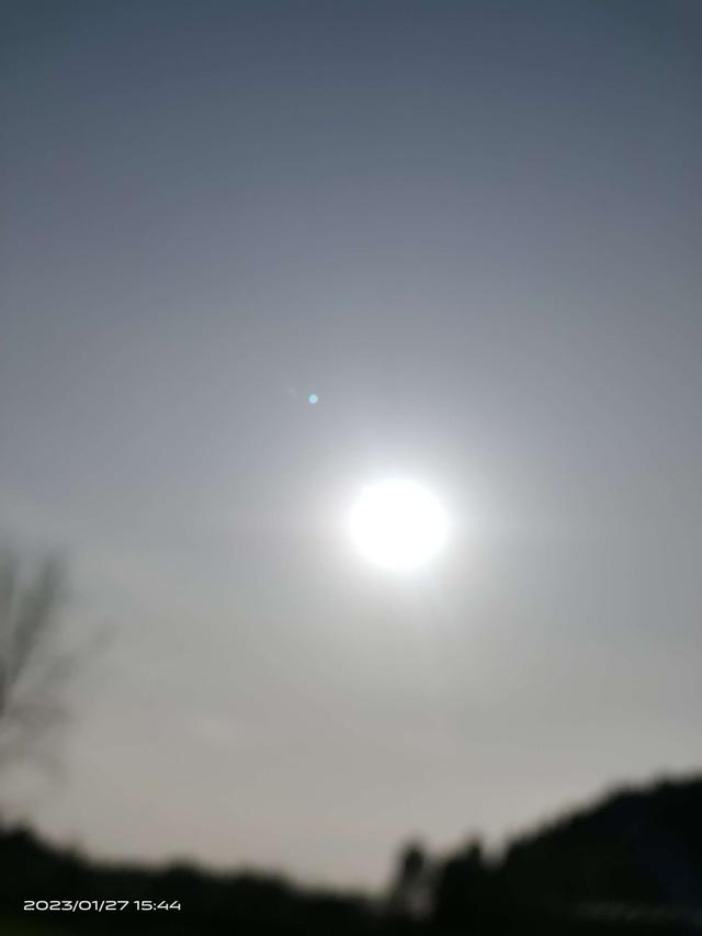 鲫鱼|听君一席话,从此钓鲫鱼不在迷茫