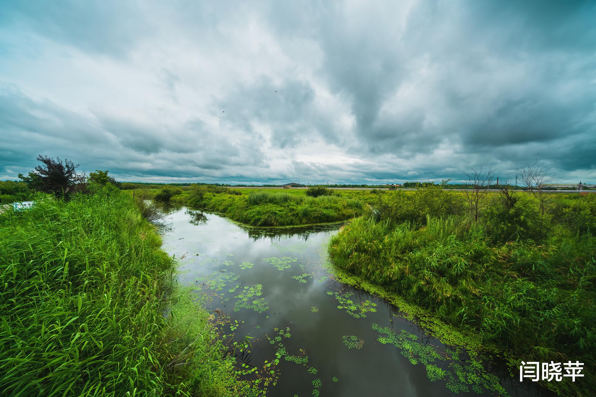 湿地公园|夏日避暑好去处，尽赏三江旖旎好风光