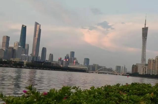 广州市|广州男子钓到怪鱼，转手送人，回家才知400一斤