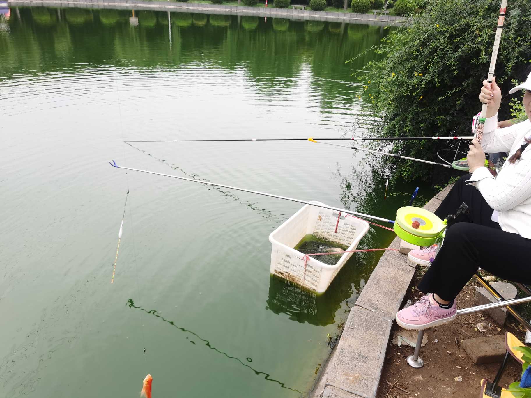 |很久没出去钓鱼,赶上一个好天气直接出发钓鱼