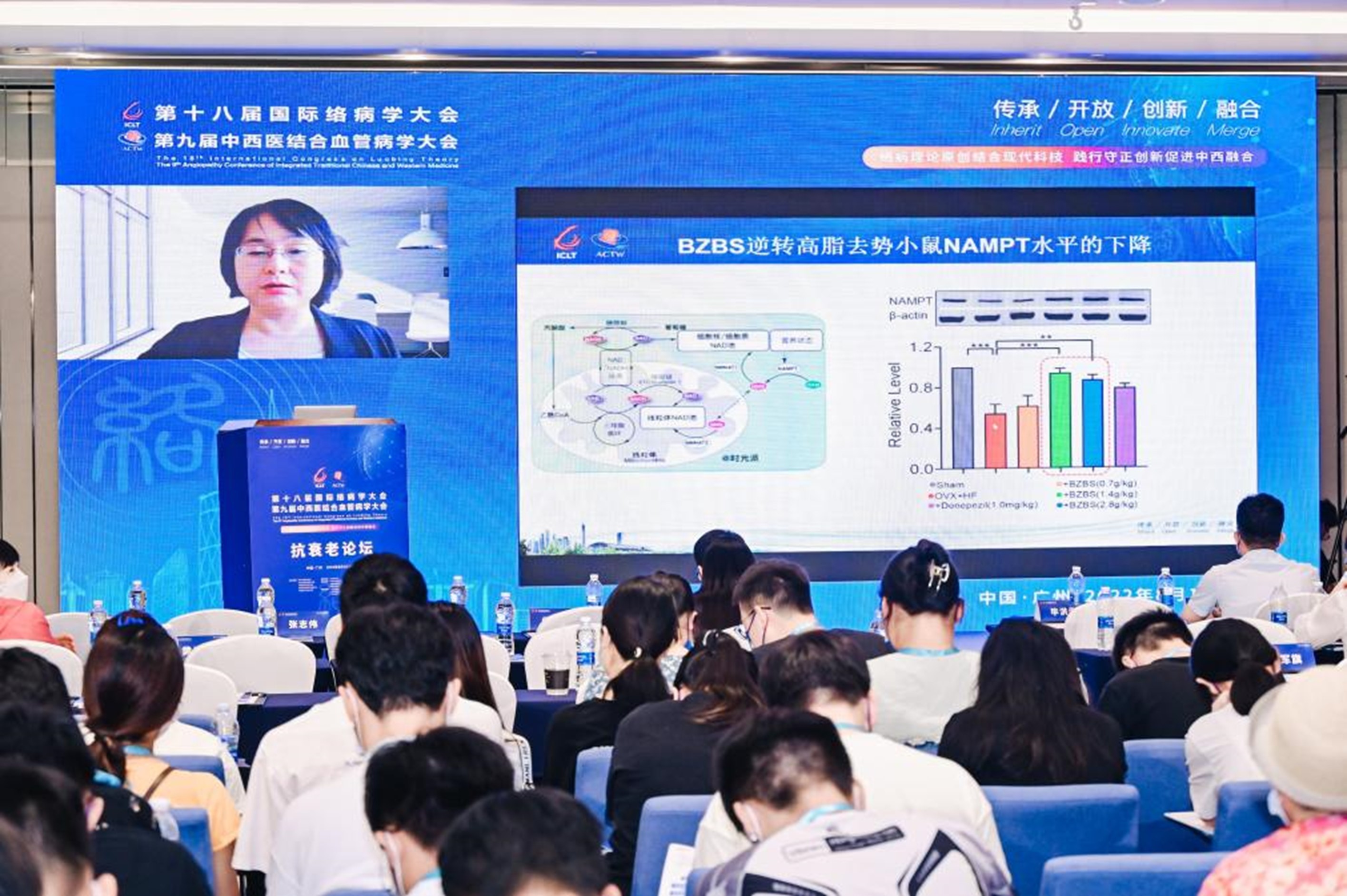 抗衰老|国际络病学大会发布中医药抗衰老重大研究进展