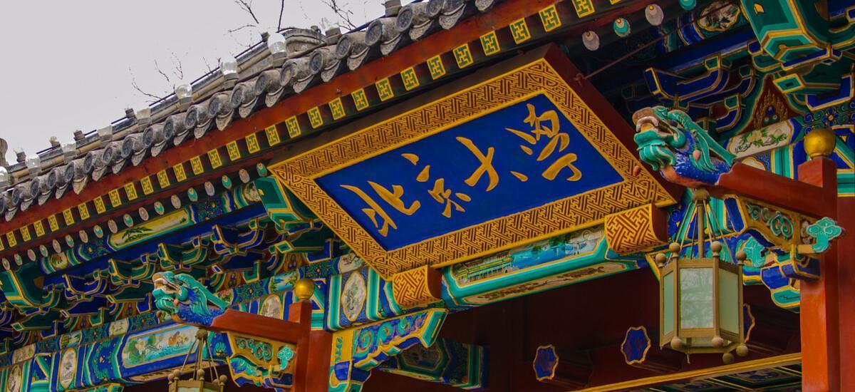 求职|北大硕士找工作未果,回郑州应聘老师成功,为何学霸比师范生强?