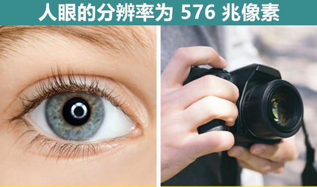 关于人体真实存在的,9个让你可能怀疑一切的科学事实