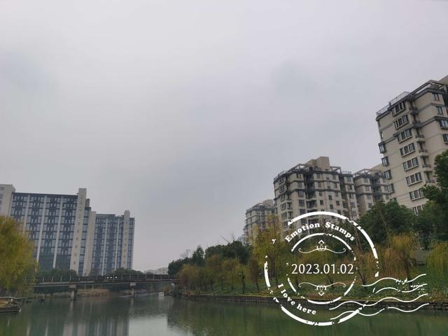 饵料|冷雨淅沥,野鲫零星