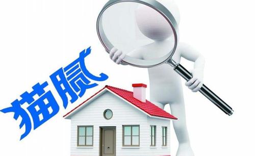 我家装修踩中5个陷阱,惨遭老婆天天骂,白瞎几百万的房子