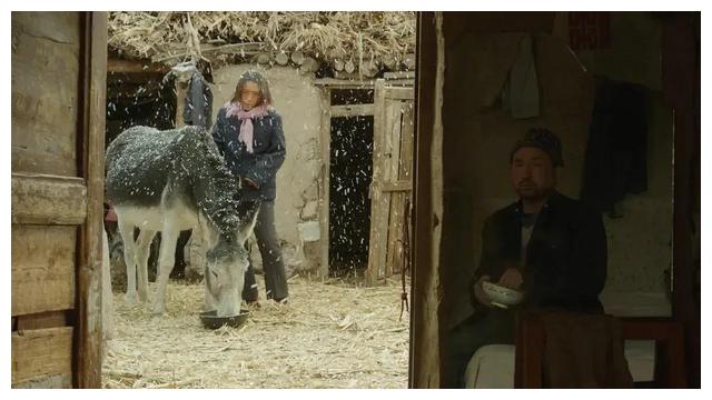 隐入尘烟|电影《隐入尘烟》真的是在“刻意”引导观众吗？