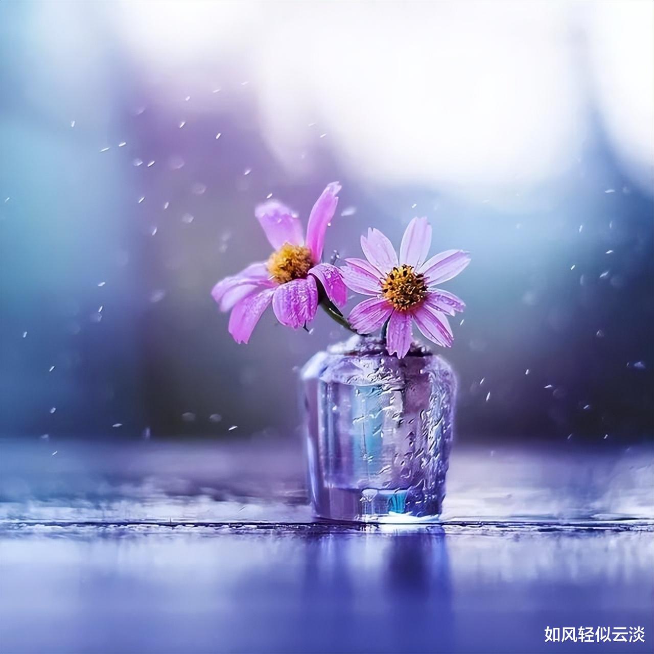 柿子|不想被人当软柿子捏，牢记这几句话