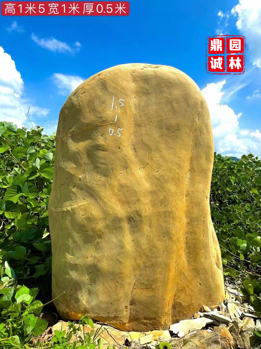园林|黄蜡石黄色圆润景观摆放风景置放石