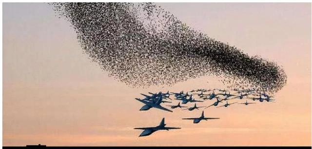 大疆|俄罗斯人盛赞“大疆”无人机，暴露其弱点，在无人机领域落后太多