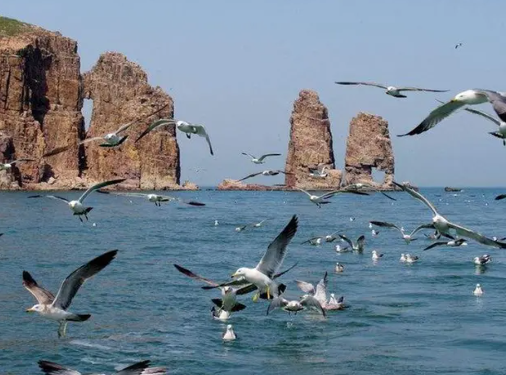 烟台|烟台五大旅游景点，来看看你去过几个？