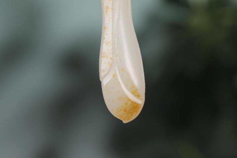 玉雕|玉雕|春日寻芳,皎皎玉兰