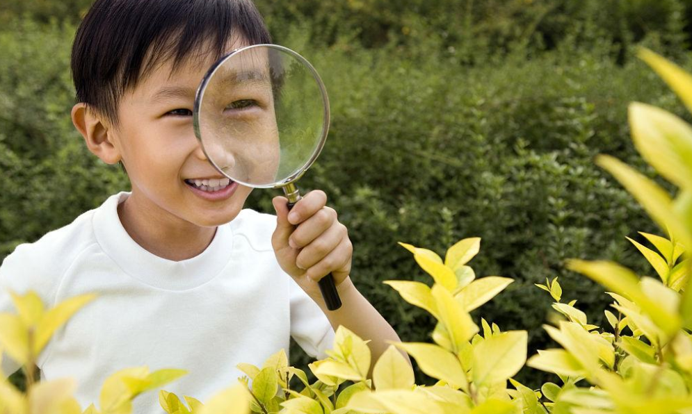 动力|许多父母最为担心的一个问题，就是自己的孩子没有动力，去创事业