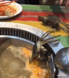 万梓良|为老不尊?万梓良商演紧搂伴舞不撒手,女生满脸嫌弃拒不配合