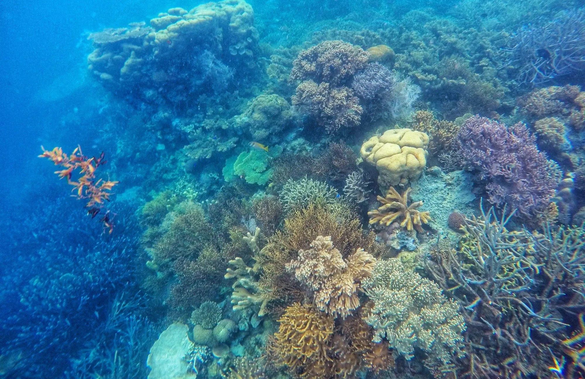 可怕的马里亚纳海沟,每年吞噬海水30亿吨,海平面为何不降反升?