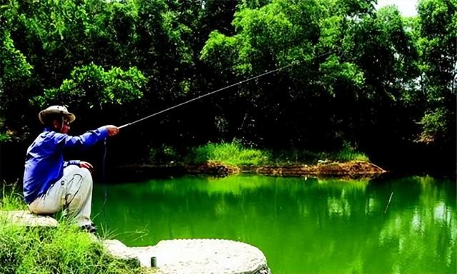 鲫鱼|初春钓鲫鱼,如何选择合适钓点?