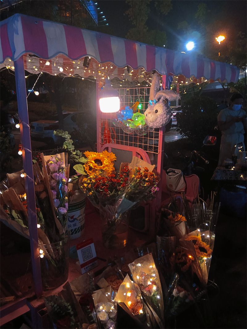 大理|【有一种生活叫大理】夜之大理,正在洱海边