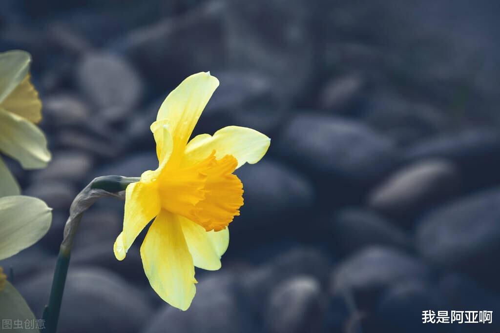 |真正聪明的人，早就戒掉了无效社交