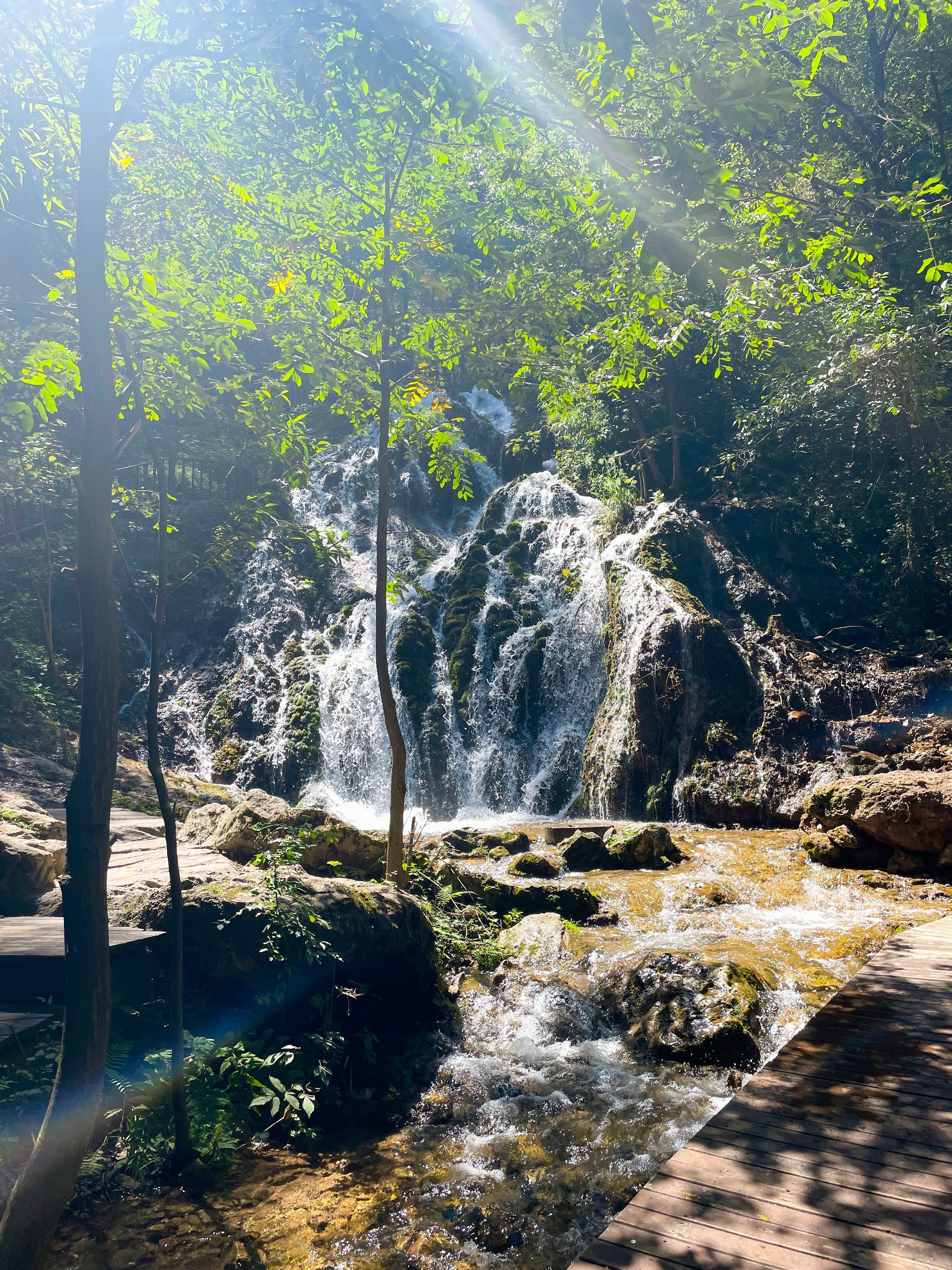 伏牛山|洛阳有个伏牛山瀑布群，适合节假日周末短途游，竹林瀑布河南少见