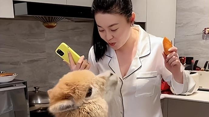 关婷娜|关婷娜半夜豪宅里喂羊驼！低领睡衣太诱惑，身材丰腴表情可爱