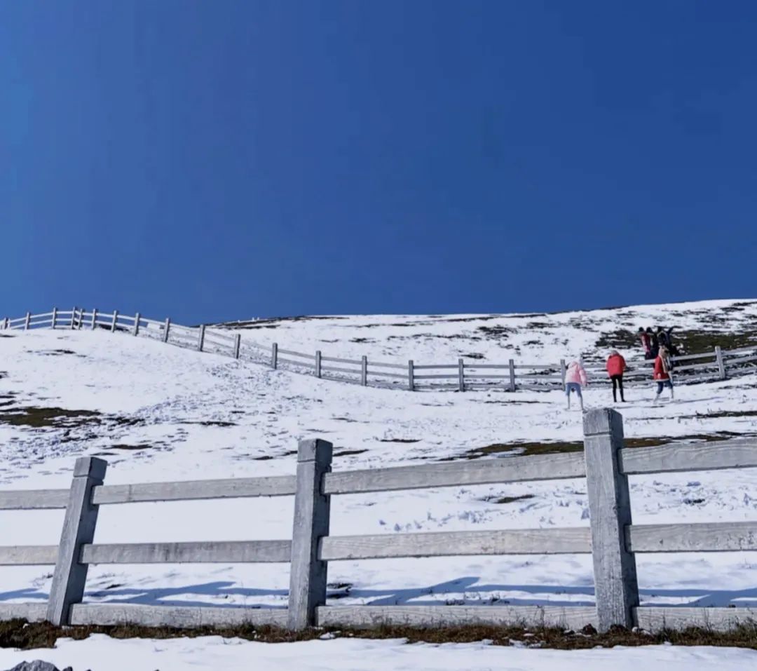 |人均不到200+！江浙沪周边滑雪场Top5推荐来咯！南方也能痛快玩雪
