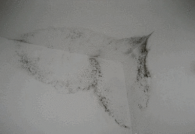 为何越来越多的年轻人入住毛坯房?不仅为省钱,住过就知道有多爽